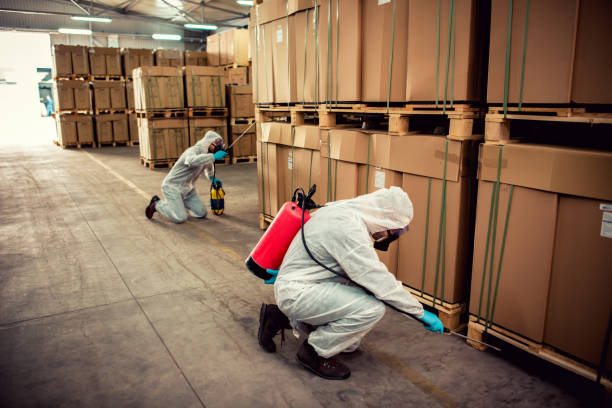 Best Flea Control Services  in Holly Springs, GA