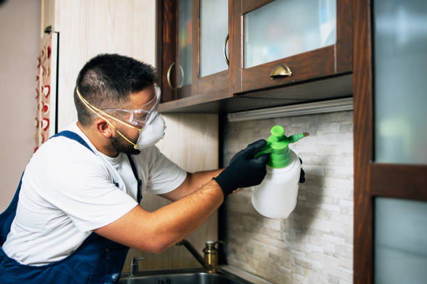 Best Best Pest Control Companies  in Holly Springs, GA
