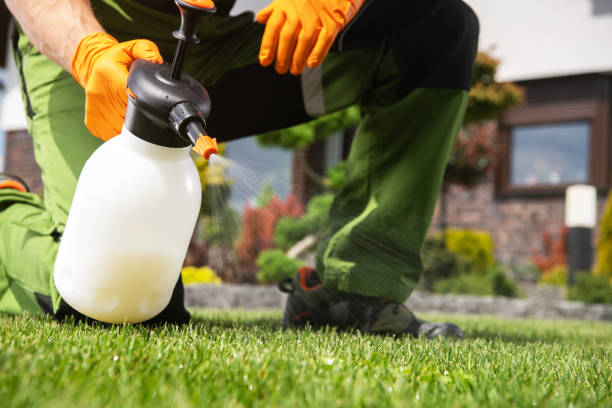 Reliable Holly Springs, GA Pest Control Solutions