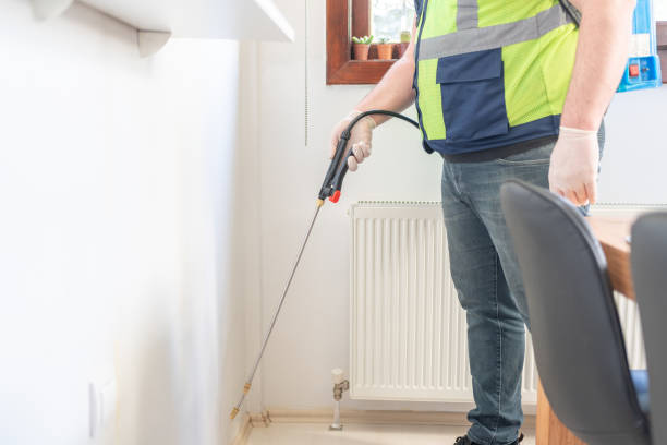 Best Ant Control Services  in Holly Springs, GA