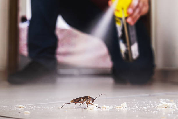Best Pest Inspection Near Me  in Holly Springs, GA