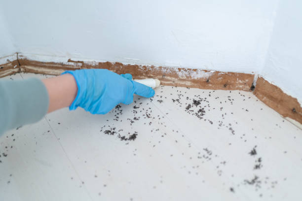  Holly Springs, GA Pest Control Pros