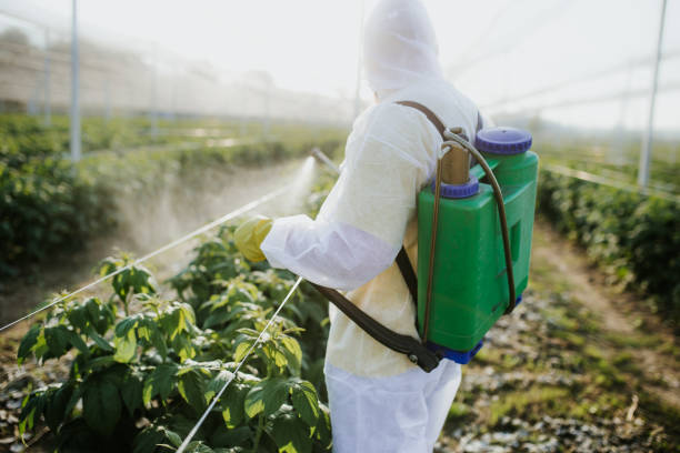 Wildlife Control Services in Holly Springs, GA